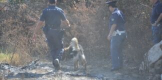 Ossa in fusto d’olio nelle campagne: il corpo è di Ruggiero Tresca