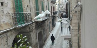 Aggiornamento meteo, neve e scuole chiuse a Canosa