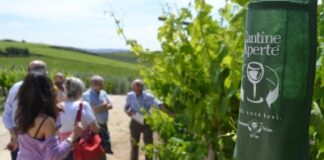 Cantine Aperte compie 25 anni
