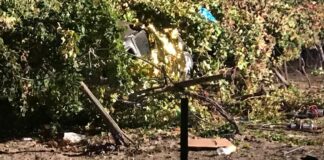 Auto si ribalta sulla SP231 e termina in un vigneto: muore andriese