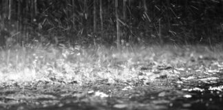 Allerta meteo gialla per piogge fino alla mezzanotte di oggi