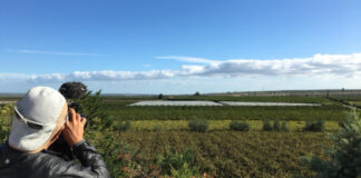 Un depuratore per Loconia, Morra: «Presto realtà»