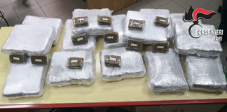 Quasi 30 chili di hashish in macchina: arrestato a Canosa un 32enne barese