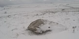 Maltempo, Coldiretti: «Campagne come piste da sci, morsa di freddo e gelo»