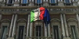 Manovra: dalla Puglia agricoltori in piazza a Roma