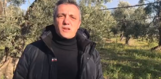 PSR-Irrigazione, Ventola: «Presentati 19 progetti, ma nessuno è pugliese»