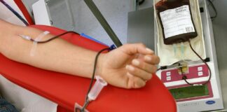 Giornata mondiale del donatore, Avis e Amministrazione celebrano insieme la ricorrenza