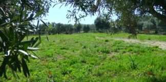 Stop alle gite di primavera, un crack da 5 milioni di euro in Puglia