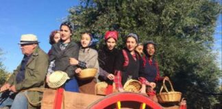 L’Istituto “Bovio” di Canosa vince ad Agrigento il Premio Legambiente