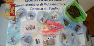 Alla vista degli agenti getta la droga dal finestrino dell’auto: arrestato 24enne canosino