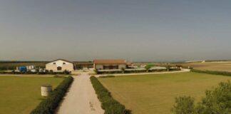 PNRR, pubblicato dalla Regione l’Avviso pubblico per l’ammodernamento dei frantoi oleari