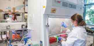 Covid, 1.271 nuovi casi e 4 decessi in Puglia. In aumento gli attualmente positivi