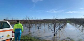 Fiume Ofanto in piena, avviato il monitoraggio