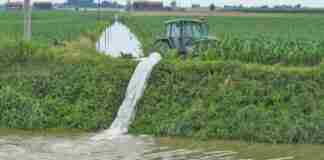 Insieme per l’Agricoltura, la segreteria: «Presidente Emiliano basta andare in tv, dia risposte serie ed immediate al mondo agricolo pugliese»