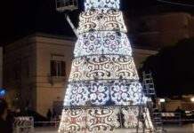 Conto alla rovescia per l’accensione del grande Albero di Natale in piazza Vittorio Veneto