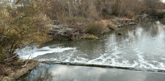 Schiuma e cattivo odore nel fiume Ofanto, Arpa al lavoro per capirne l’origine