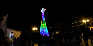 Canosa si accende per il Natale: risplendono gli alberi, le luminarie omaggiano Lino Banfi