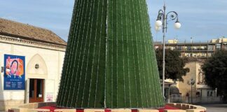 Domani, a Canosa, l’accensione degli Alberi di Natale in Piazza Vittorio Veneto e Piazza della Repubblica