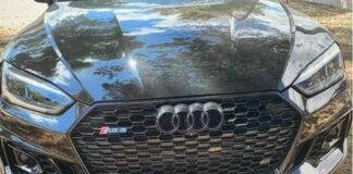 Auto di lusso rubate e “sezionate” in un capannone: arrestati 3 cerignolani e 3 extracomunitari