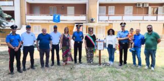 Un albero per il futuro: messa a dimora di un “ficus macrophylla” in via Giovanni Falcone