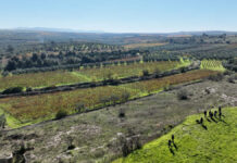 A Canosa un patrimonio da 14mila ettari paesaggistico e rurale: obiettivo protezione e valorizzazione