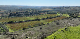 A Canosa un patrimonio da 14mila ettari paesaggistico e rurale: obiettivo protezione e valorizzazione