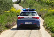 Partito da un oleificio di Canosa, rapinato sulla ex R6: ingente il bottino di un carico d’olio