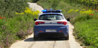 Partito da un oleificio di Canosa, rapinato sulla ex R6: ingente il bottino di un carico d’olio