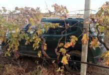 Ritrovate auto a Foggia, nascoste sotto il ponte autostradale: una era stata rubata a Canosa