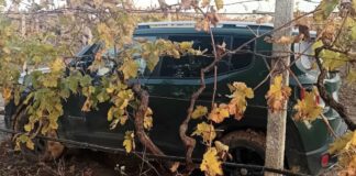 Ritrovate auto a Foggia, nascoste sotto il ponte autostradale: una era stata rubata a Canosa