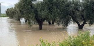 Il fiume Ofanto “cresce” ancora: le acque sono salite di oltre 60 centimetri durante la notte