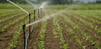 Incontro sulla campagna irrigua tra Canosa e Consorzio di Bonifica Centro-Sud Puglia