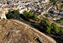 Incendi, in Puglia 5mila ettari di territorio in fiamme in due mesi: è emergenza piromani e gran caldo