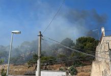 Incendio a sterpaglie ed alberi ha minacciato la zona Castello di Canosa