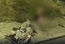 Abbandono rifiuti, stretta della Polizia Locale nel centro storico di Canosa