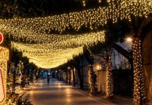 Canosa si prepara a vivere il prossimo Natale con un progetto di luminarie artistiche