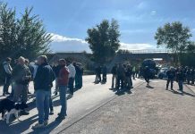 Autotrasportatori in strada sulla Sp231 a Canosa, presente l’amministrazione